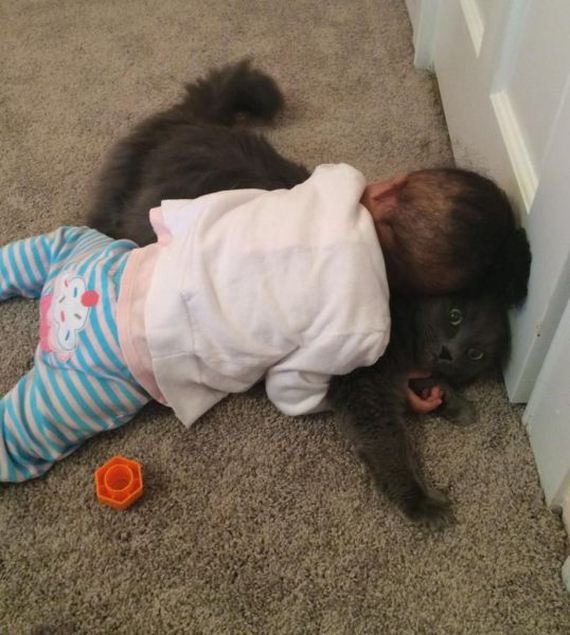 funny-pictures-830