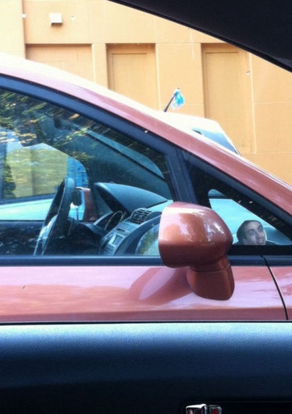 funny-pictures-830