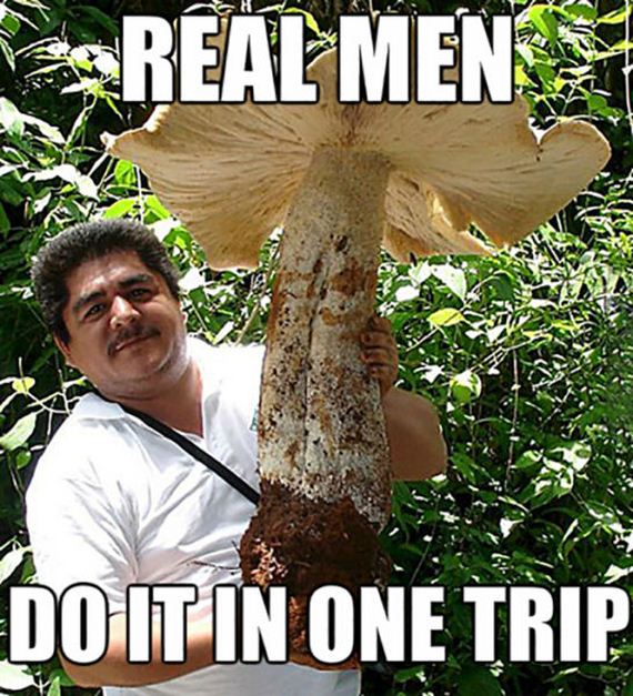 funny-pictures-831