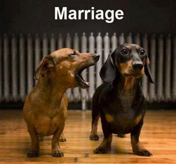 funny-pictures-831
