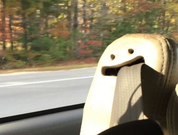 funny-pictures-833
