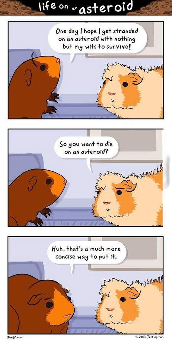 funny-pictures-833