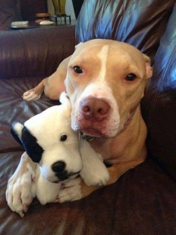 funny-pictures-833