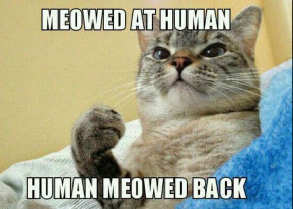 funny-pictures-833