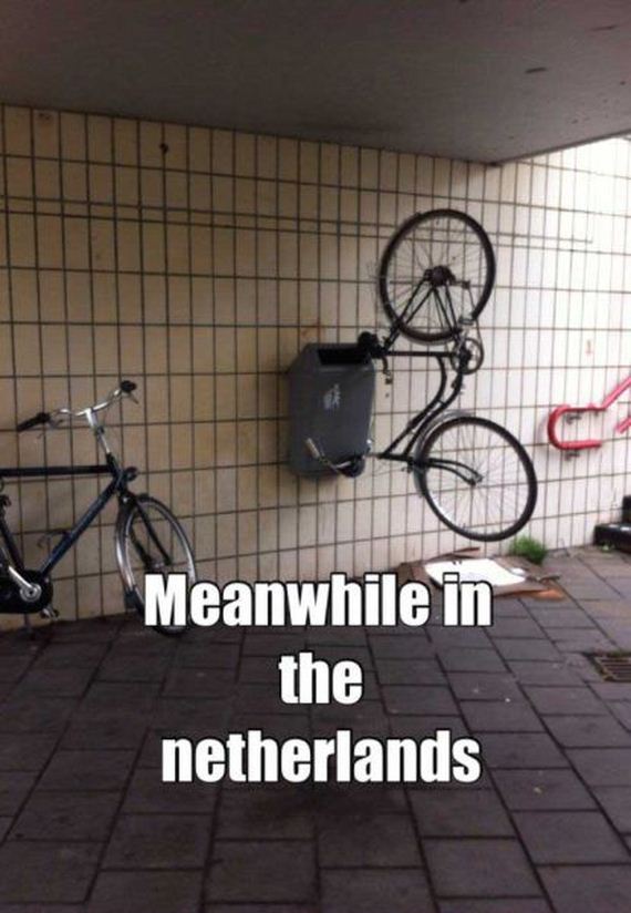 funny-pictures-833