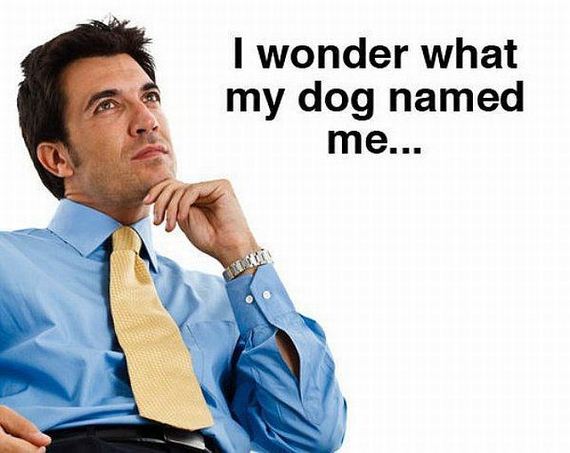 funny-pictures-834