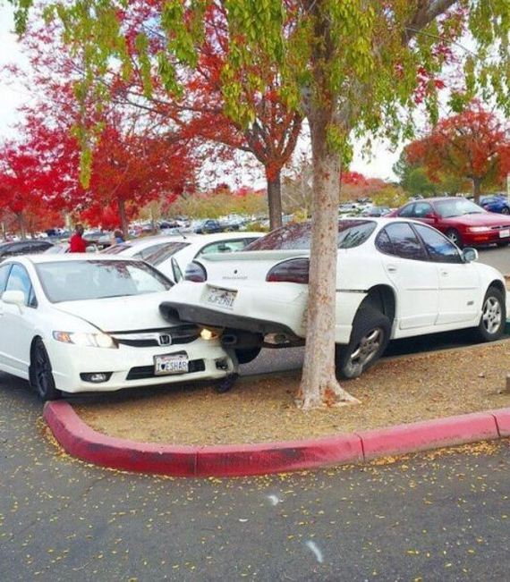 funny-pictures-838