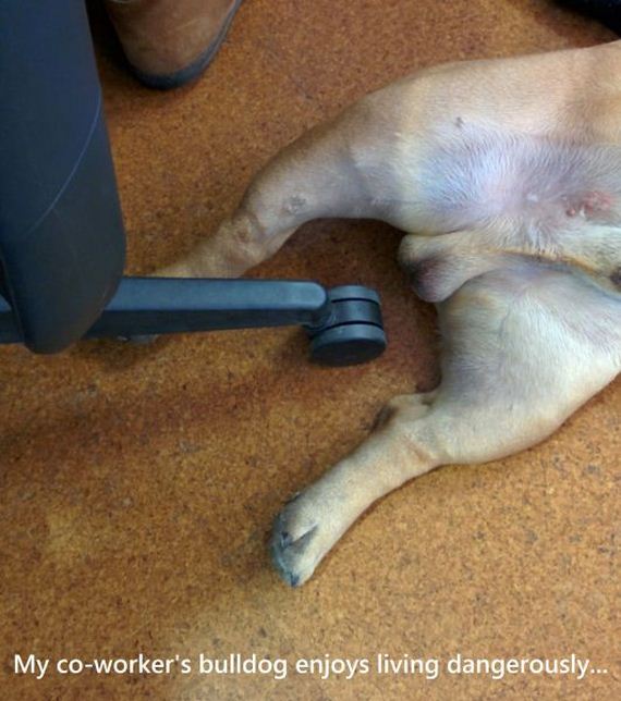 funny-pictures-840