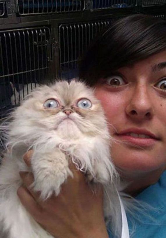 funny-pictures-840