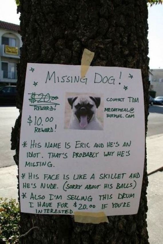 funny-pictures-841