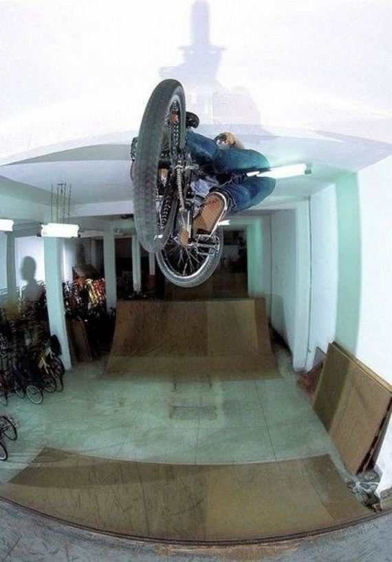 funny-pictures-841