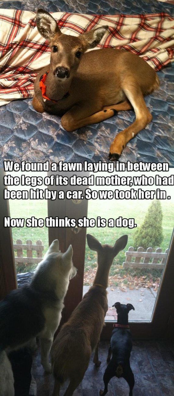funny-pictures-841