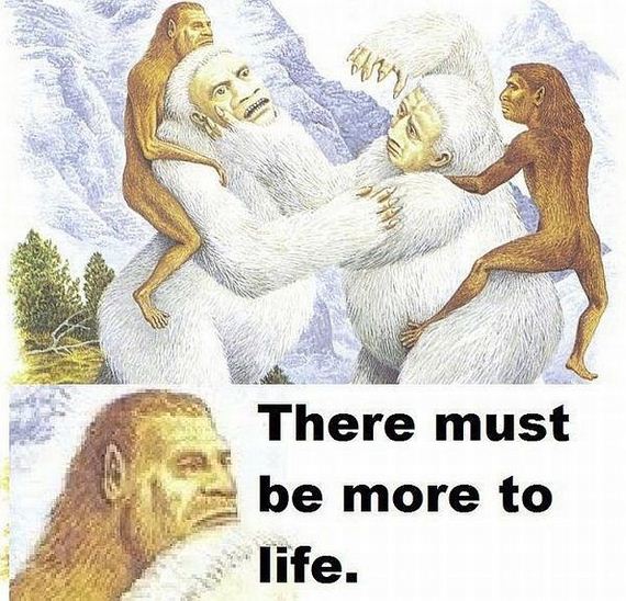 funny-pictures-841