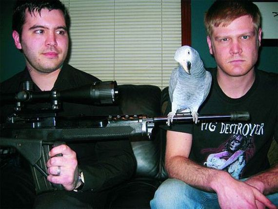 funny-pictures-844
