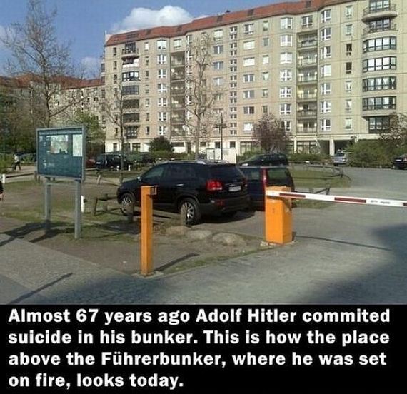 funny-pictures-844