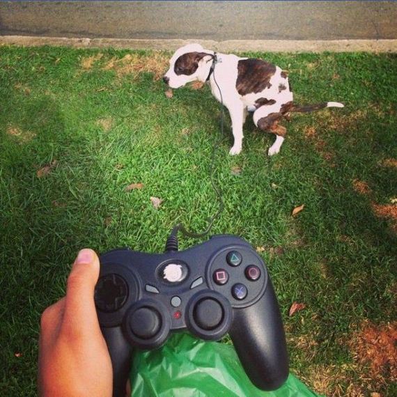 funny-pictures-844