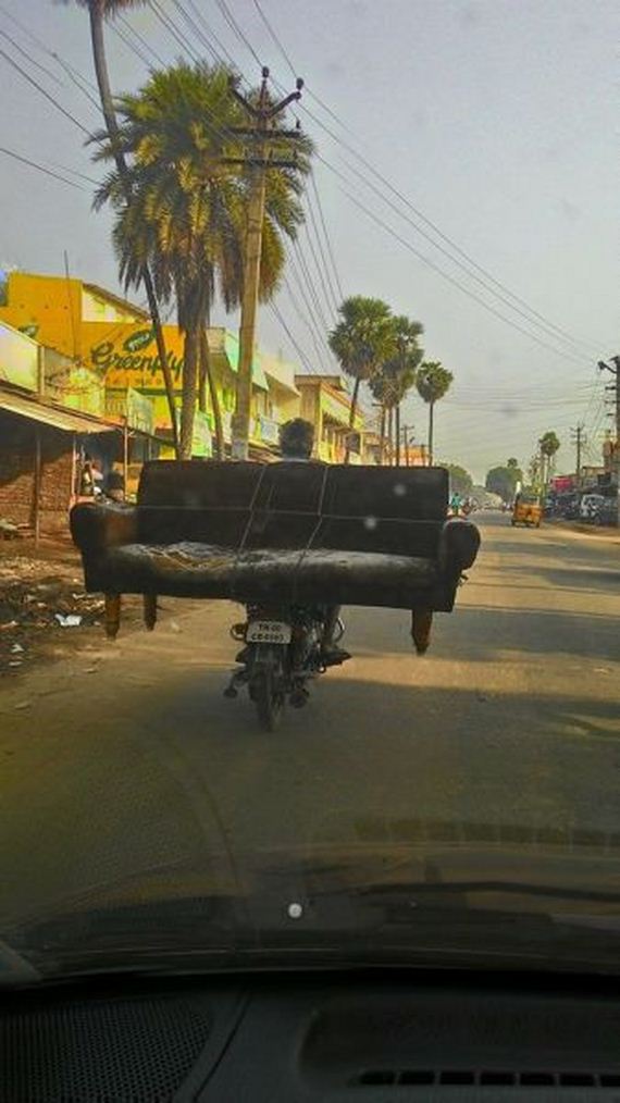 funny-pictures-848