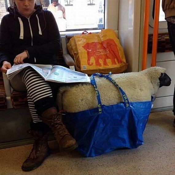 funny-pictures-848