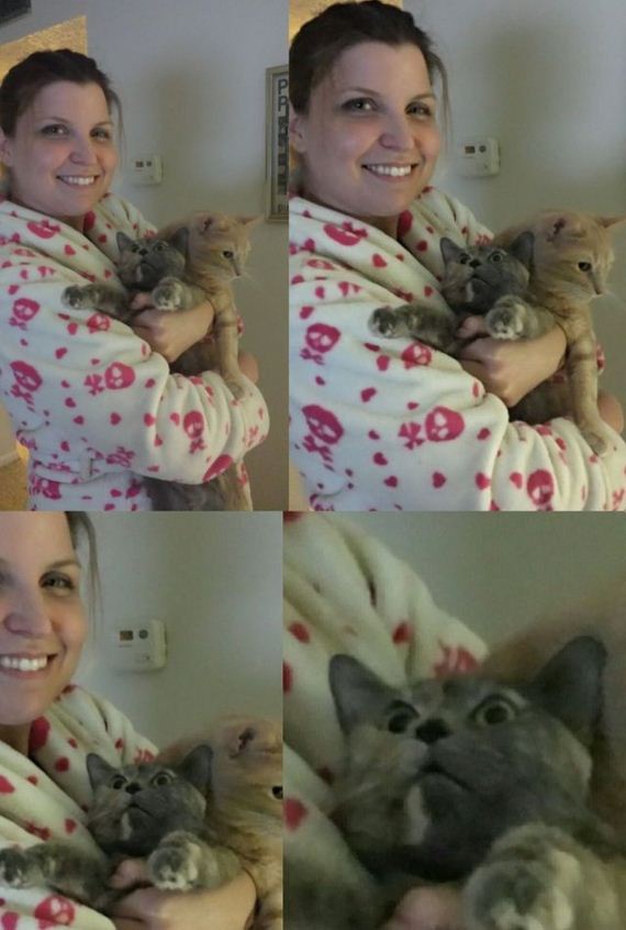 funny-pictures-848
