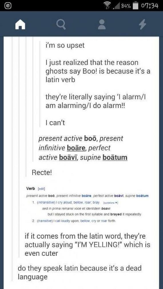 funny-pictures-848