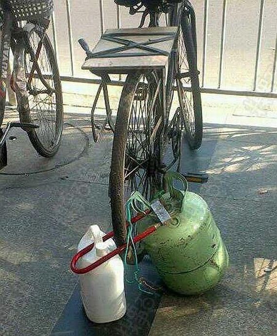 funny-pictures-850