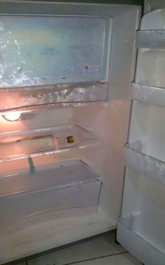funny-pictures-850