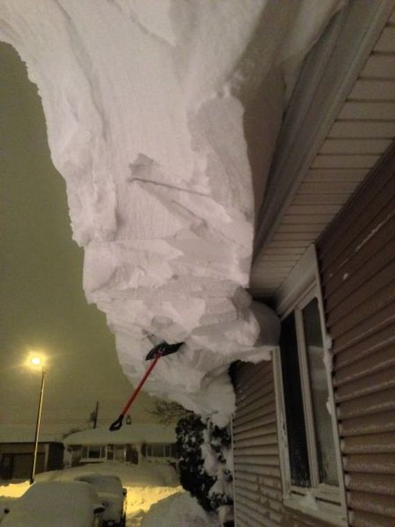 funny-pictures-850