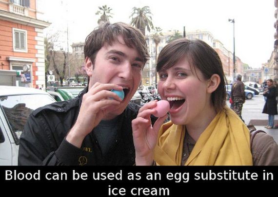 funny-pictures-850