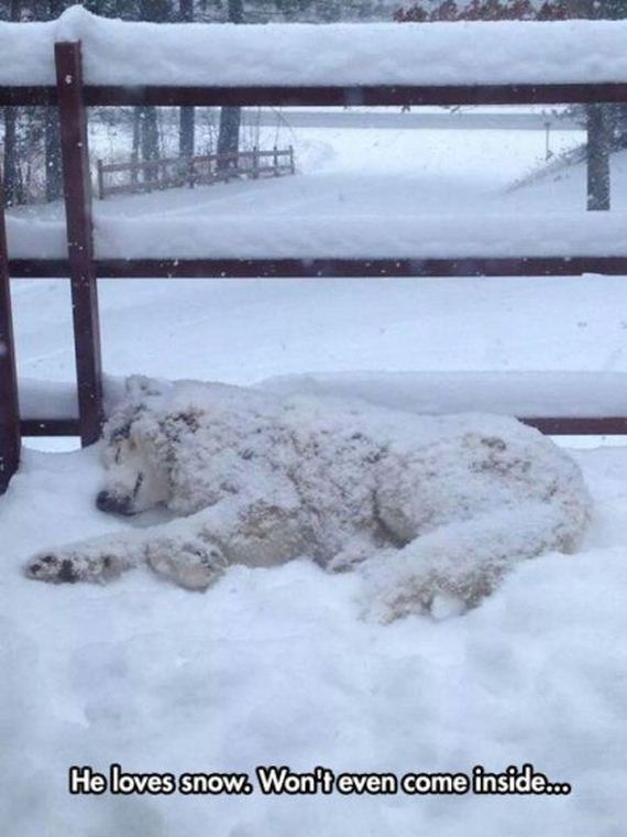 funny-pictures-852
