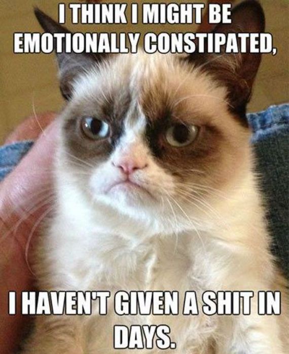 funny-pictures-852