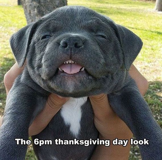 funny-pictures-853