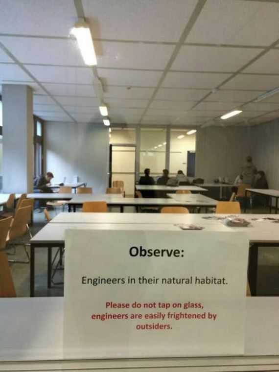 funny-pictures-853