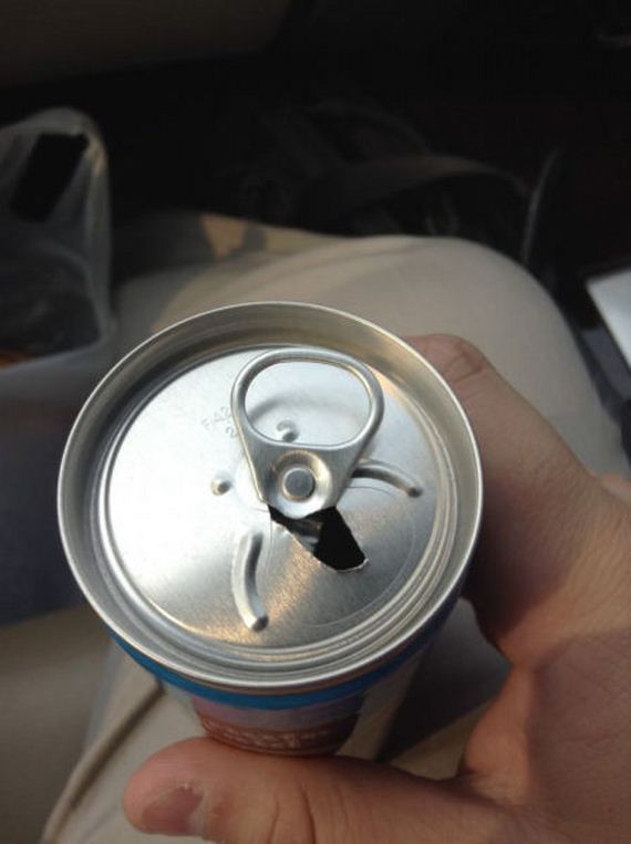 funny-pictures-853