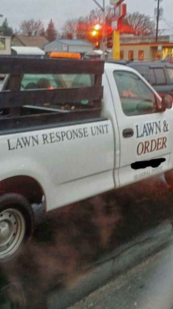 funny-pictures-854