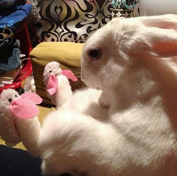 funny-pictures-854