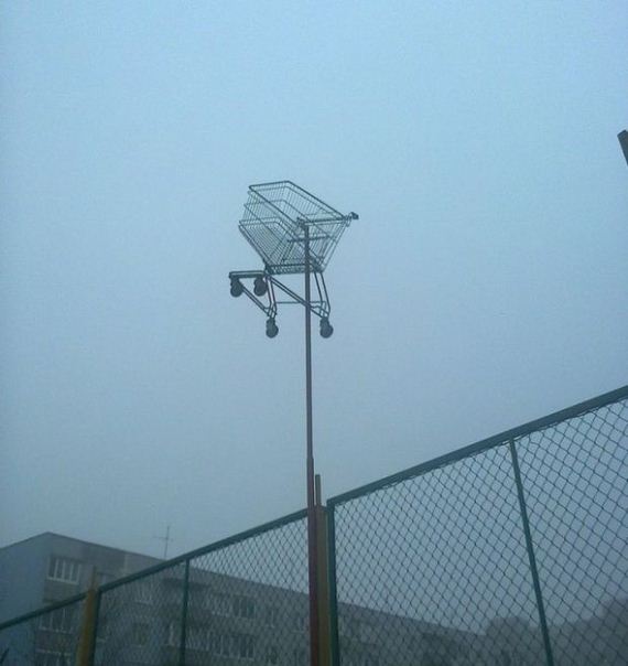 funny-pictures-856