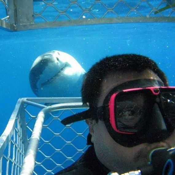 funny-pictures-856