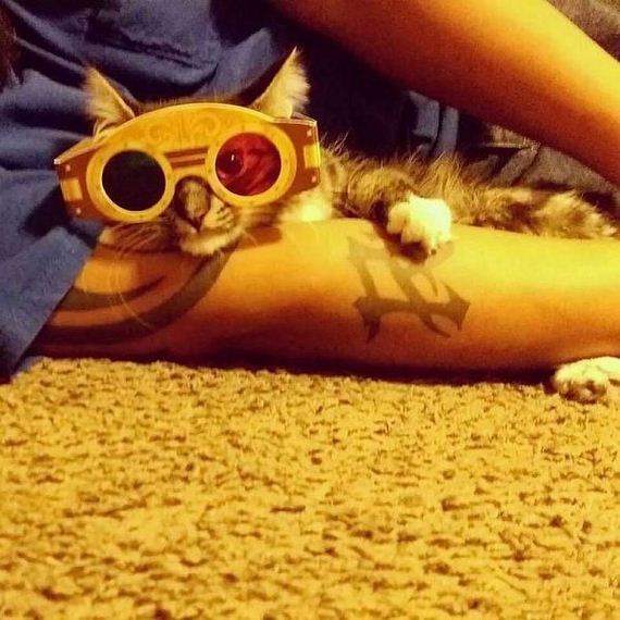 funny-pictures-856