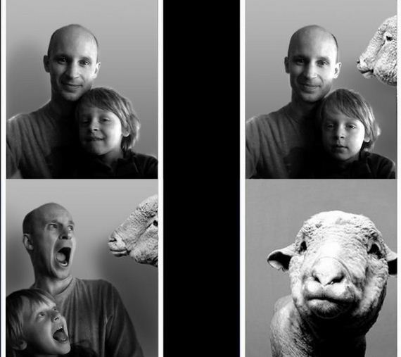 funny-pictures-857