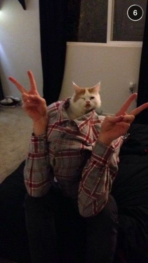 funny-pictures-857