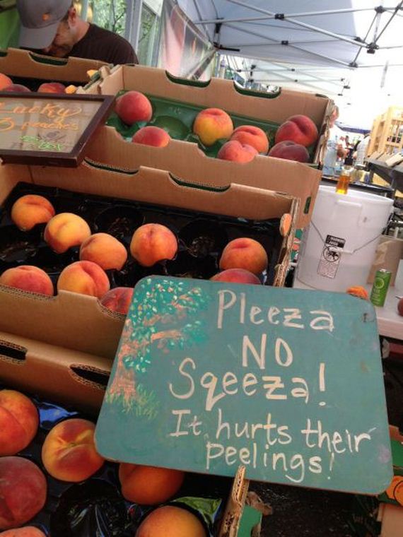 funny-pictures-857