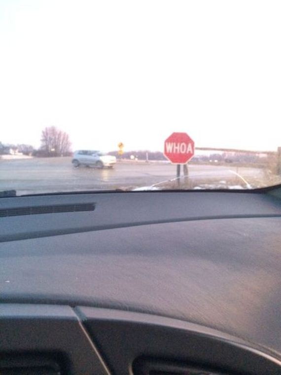 funny-pictures-858