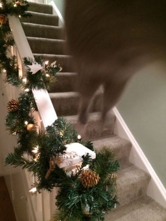 funny-pictures-858