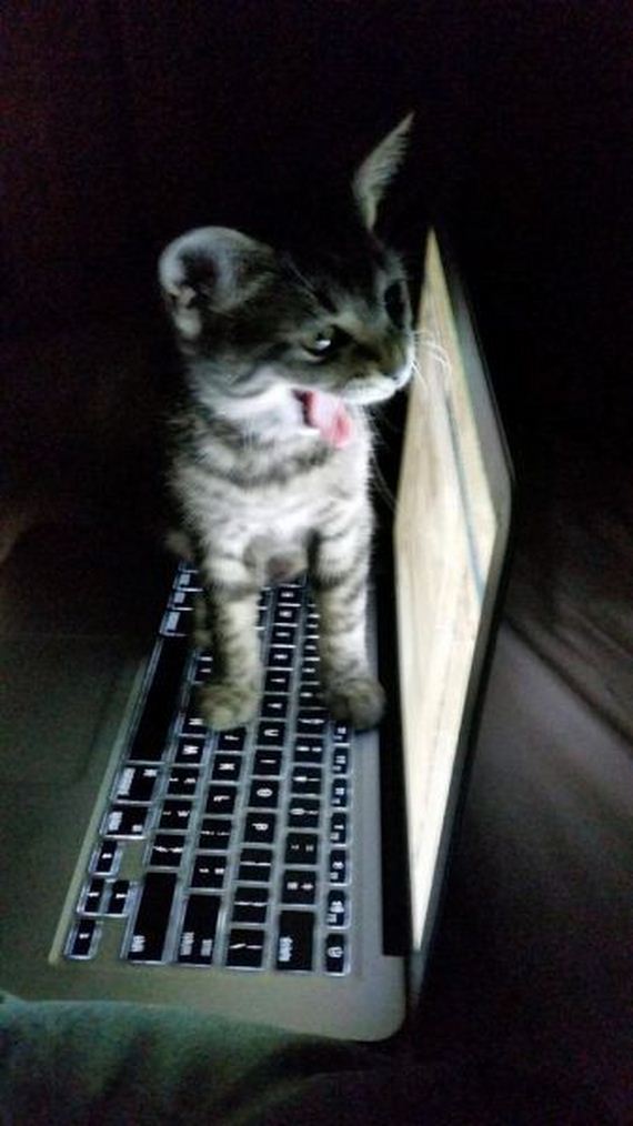 funny-pictures-858