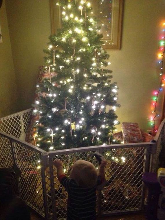 funny-pictures-858