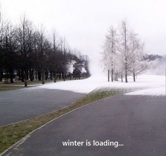 funny-pictures-859