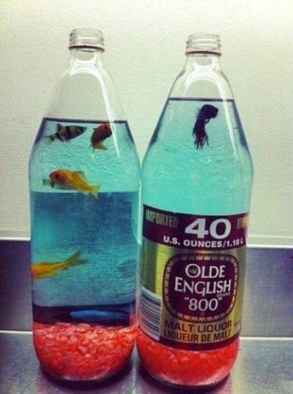 funny-pictures-859