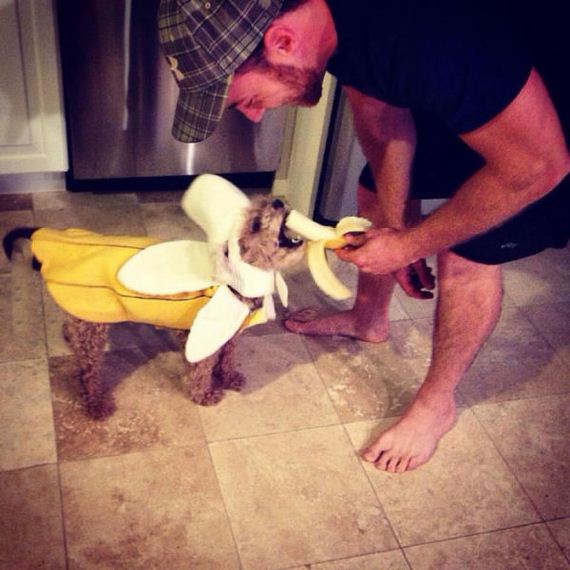 funny-pictures-859