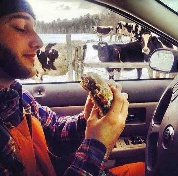 funny-pictures-860