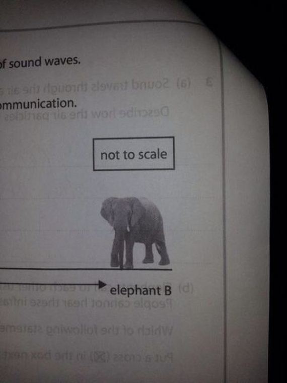 funny-pictures-860
